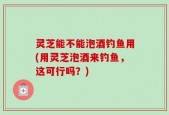 灵芝能不能泡酒钓鱼用(用灵芝泡酒来钓鱼，这可行吗？)