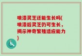 喷漆灵芝还能生长吗(喷漆后灵芝仍可生长，揭示神奇繁殖适应能力)
