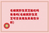 毛蜂窝野生灵芝能吃吗有毒吗(毛蜂窝野生灵芝可否食用及其毒性分析)