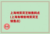 上海观赏灵芝销售网点(上海有哪些观赏灵芝销售点)