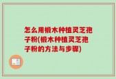 怎么用椴木种植灵芝孢子粉(椴木种植灵芝孢子粉的方法与步骤)