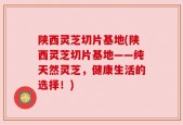 陕西灵芝切片基地(陕西灵芝切片基地——纯天然灵芝，健康生活的选择！)