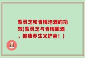 紫灵芝和青梅泡酒的功效(紫灵芝与青梅酿酒，健康养生又护身！)