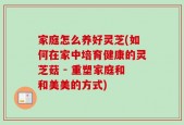 家庭怎么养好灵芝(如何在家中培育健康的灵芝菇 - 重塑家庭和和美美的方式)