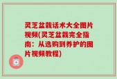 灵芝盆栽话术大全图片视频(灵芝盆栽完全指南：从选购到养护的图片视频教程)