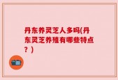 丹东养灵芝人多吗(丹东灵芝养殖有哪些特点？)
