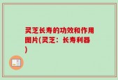 灵芝长寿的功效和作用图片(灵芝：长寿利器)