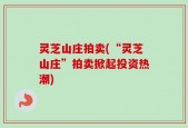 灵芝山庄拍卖(“灵芝山庄”拍卖掀起投资热潮)