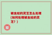 被虫蛀的灵芝怎么处理(如何处理被虫蛀的灵芝？)