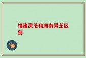 福建灵芝和湖南灵芝区别