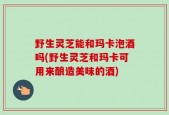 野生灵芝能和玛卡泡酒吗(野生灵芝和玛卡可用来酿造美味的酒)