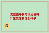 灵芝孢子粉可以治疣吗？紫灵芝长什么样子