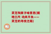 灵芝掏窝子啥意思(掘地三尺 功夫不负——灵芝的寻找之路)