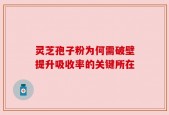 灵芝孢子粉为何需破壁提升吸收率的关键所在