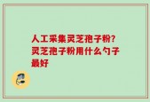 人工采集灵芝孢子粉？灵芝孢子粉用什么勺子最好