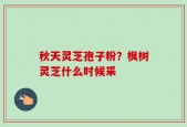 秋天灵芝孢子粉？枫树灵芝什么时候采