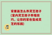 家里面怎么养灵芝孢子(室内灵芝孢子养殖技巧，让你的家也变成灵芝的乐园)
