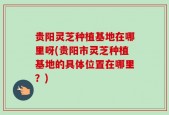 贵阳灵芝种植基地在哪里呀(贵阳市灵芝种植基地的具体位置在哪里？)