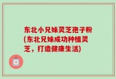 东北小兄妹灵芝孢子粉(东北兄妹成功种植灵芝，打造健康生活)