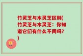 竹灵芝与木灵芝区别(竹灵芝与木灵芝：你知道它们有什么不同吗？)