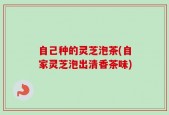 自己种的灵芝泡茶(自家灵芝泡出清香茶味)