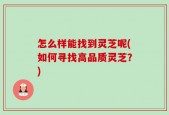 怎么样能找到灵芝呢(如何寻找高品质灵芝？)