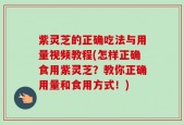 紫灵芝的正确吃法与用量视频教程(怎样正确食用紫灵芝？教你正确用量和食用方式！)