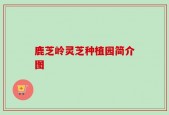 鹿芝岭灵芝种植园简介图
