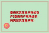 泰安买灵芝孢子粉的农户(泰安农户现场选购纯天然灵芝孢子粉)