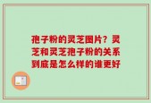 孢子粉的灵芝图片？灵芝和灵芝孢子粉的关系到底是怎么样的谁更好