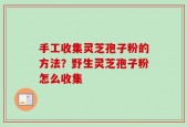 手工收集灵芝孢子粉的方法？野生灵芝孢子粉怎么收集