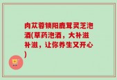 肉苁蓉锁阳鹿茸灵芝泡酒(草药泡酒，大补滋补滋，让你养生又开心)