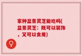 家种盆景灵芝能吃吗(盆景灵芝：既可以装饰，又可以食用)