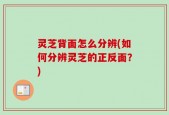 灵芝背面怎么分辨(如何分辨灵芝的正反面？)