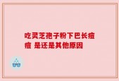吃灵芝孢子粉下巴长痘痘 是还是其他原因