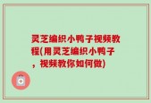 灵芝编织小鸭子视频教程(用灵芝编织小鸭子，视频教你如何做)