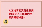 人工培育的灵芝生长周期(灵芝人工培育的生长周期新成果)