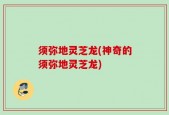 须弥地灵芝龙(神奇的须弥地灵芝龙)