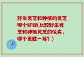 野生灵芝和种植的灵芝哪个好些(比较野生灵芝和种植灵芝的优劣，哪个更胜一筹？)