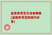 盆景养灵芝方法有哪些(盆栽养灵芝的技巧分享)