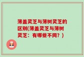 薄盖灵芝与薄树灵芝的区别(薄盖灵芝与薄树灵芝：有哪些不同？)