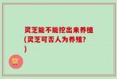 灵芝能不能挖出来养植(灵芝可否人为养殖？)