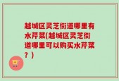越城区灵芝街道哪里有水芹菜(越城区灵芝街道哪里可以购买水芹菜？)