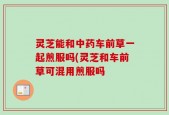灵芝能和中药车前草一起煎服吗(灵芝和车前草可混用煎服吗
