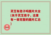 灵芝有孢子吗图片大全(关于灵芝孢子，这里有一些完整的图片汇总)