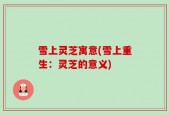 雪上灵芝寓意(雪上重生：灵芝的意义)