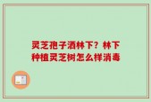 灵芝孢子洒林下？林下种植灵芝树怎么样消毒