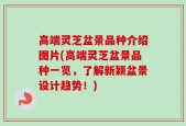高端灵芝盆景品种介绍图片(高端灵芝盆景品种一览，了解新颖盆景设计趋势！)