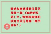 娜姐和雨锅摘野生灵芝是哪一集(《奔跑吧兄弟》中，娜姐和雨锅的摘野生灵芝是哪一期节目呢？)