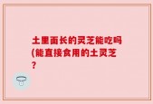 土里面长的灵芝能吃吗(能直接食用的土灵芝？